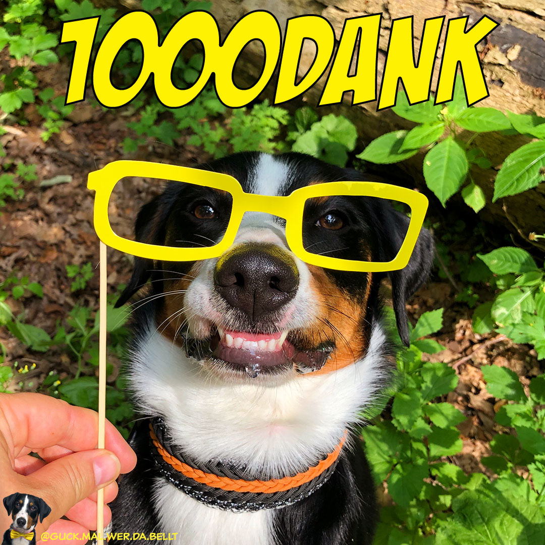 DANKESCHÖN!