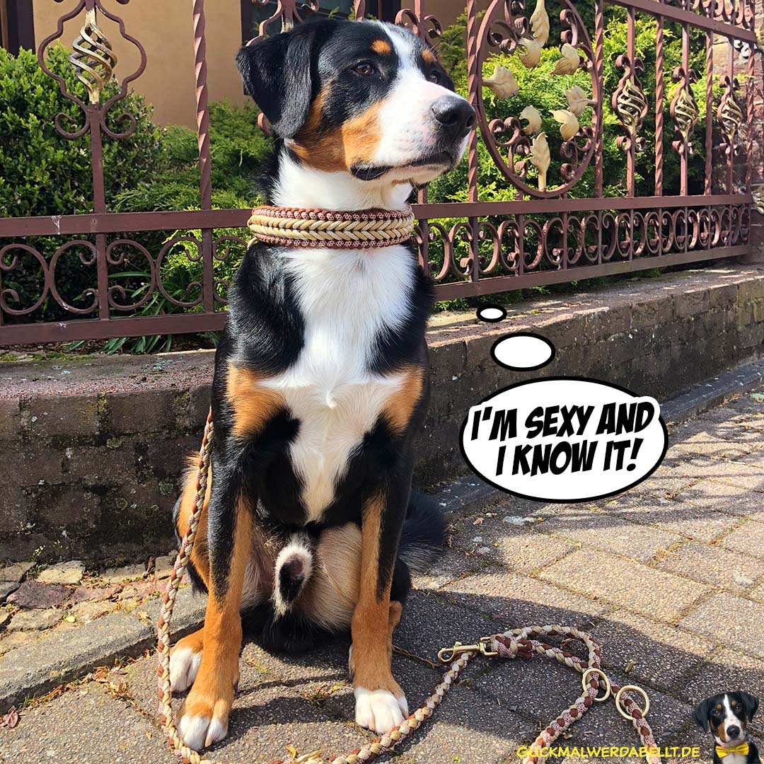 I'm sexy, and i know it!