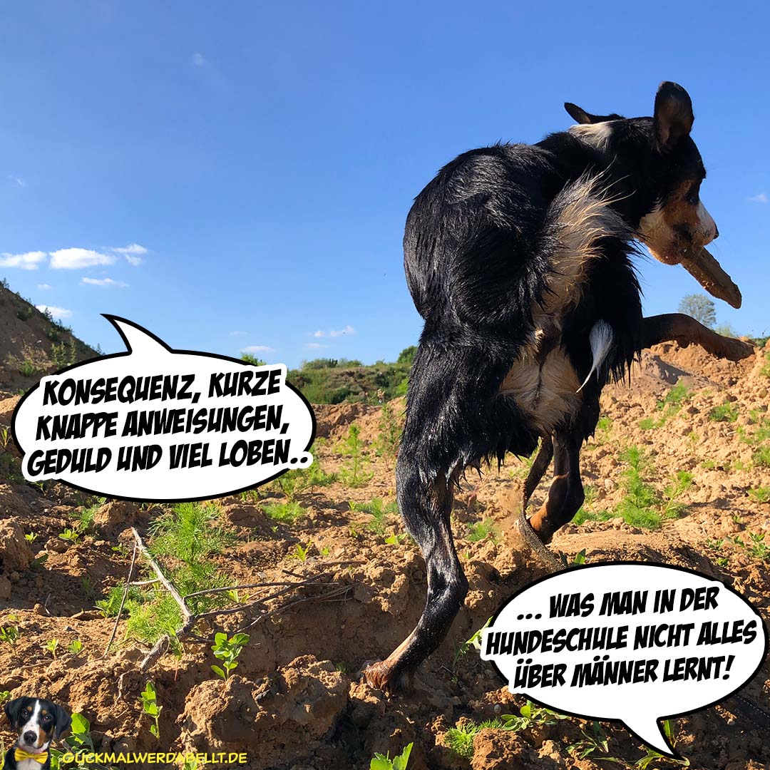 Konsequenz, kurze knappe Anweisungen, Geduld und viel loben!
