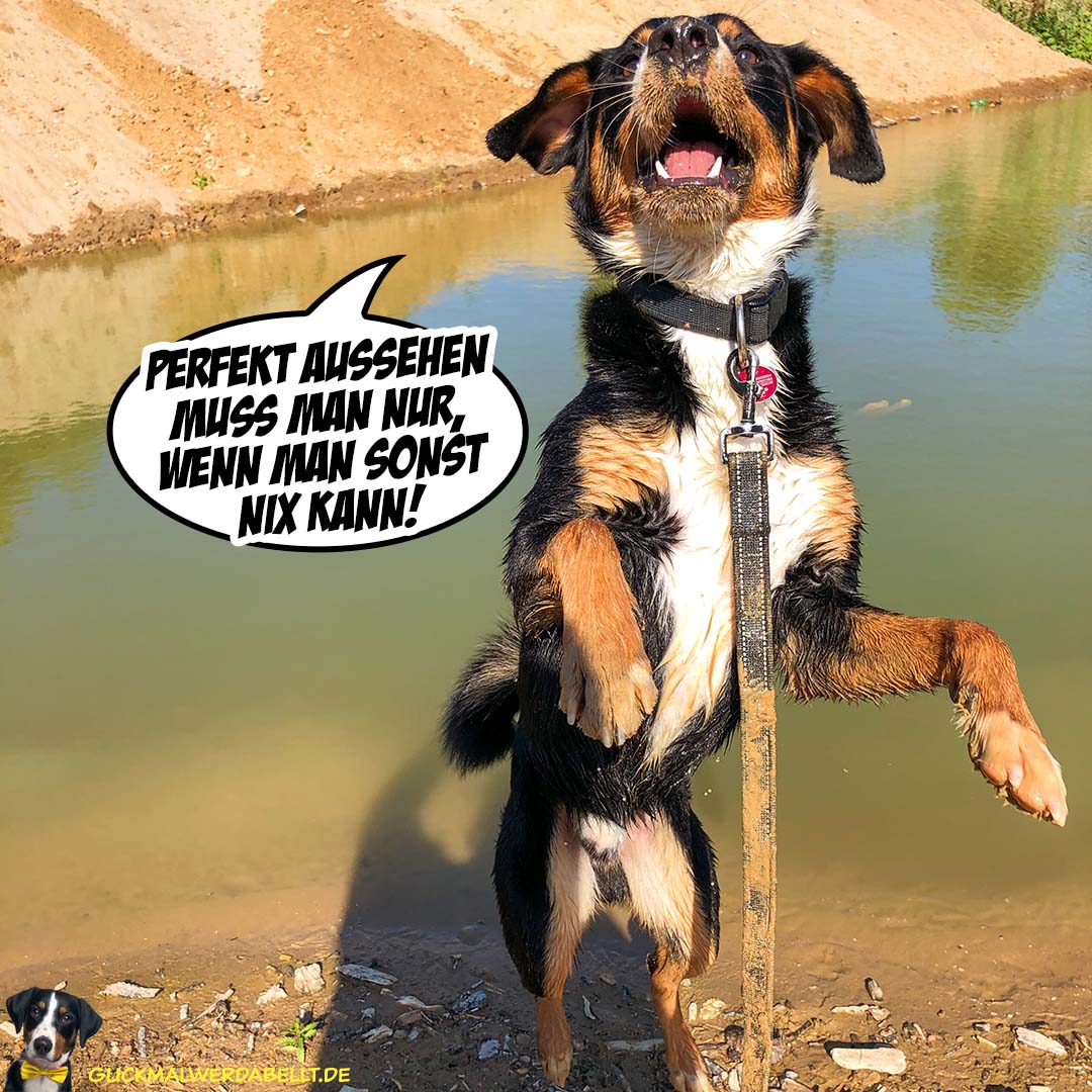 wo er Recht hat, hat er Recht 🤪😇!