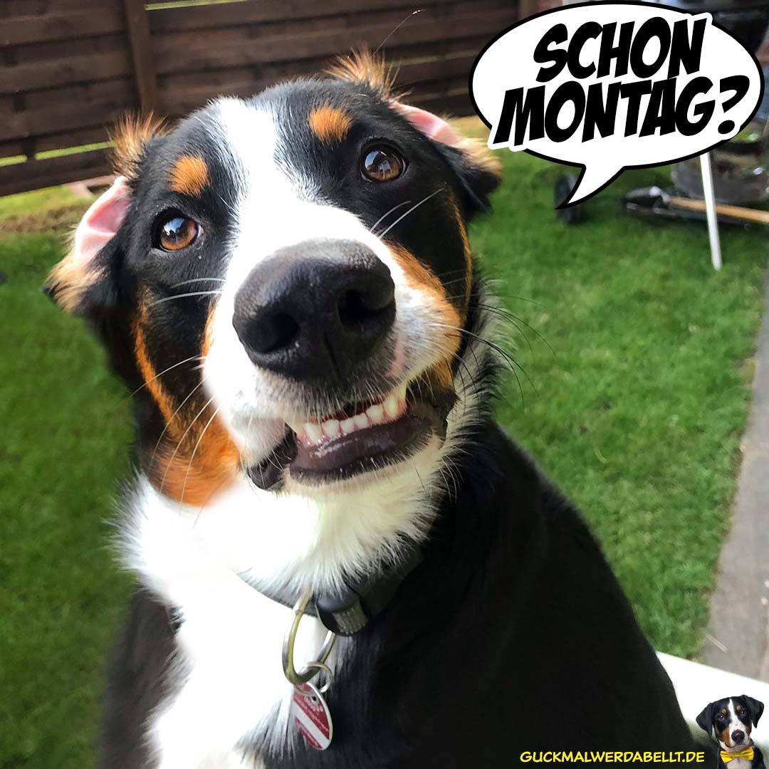 Schon Montag?!