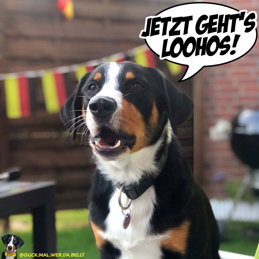 EM 2021 - England gegen Deutschland!