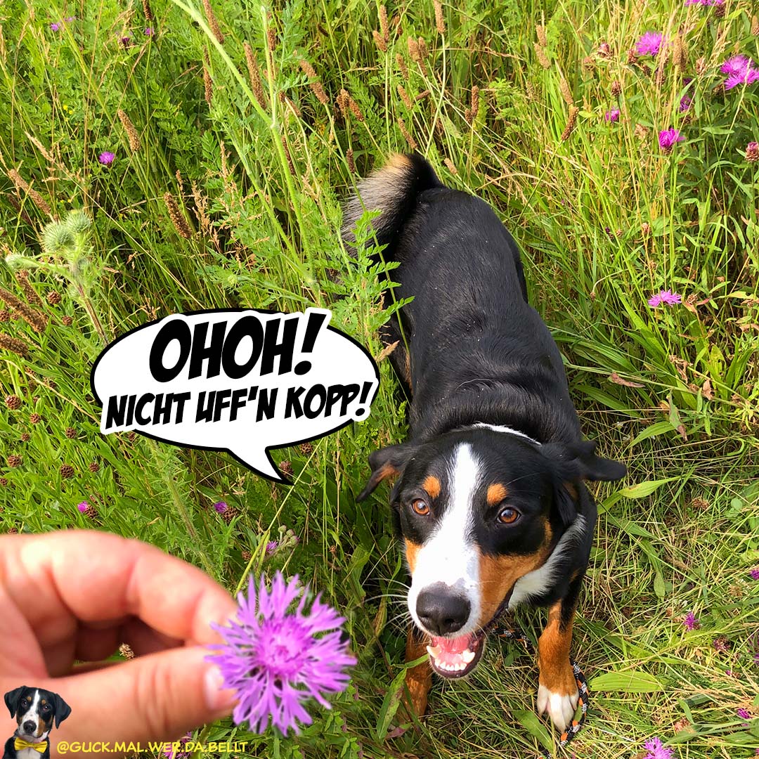 kleiner Racker!