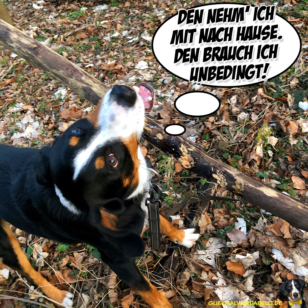 Den brauch ich unbedingt!