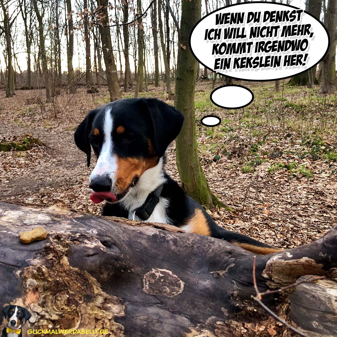 Geht doch!