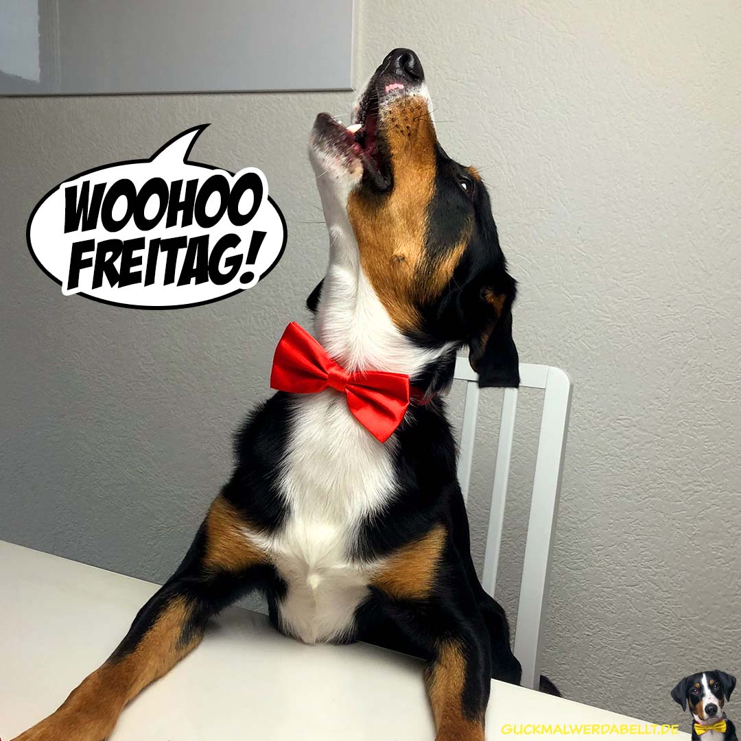Wohoo, Freitag!