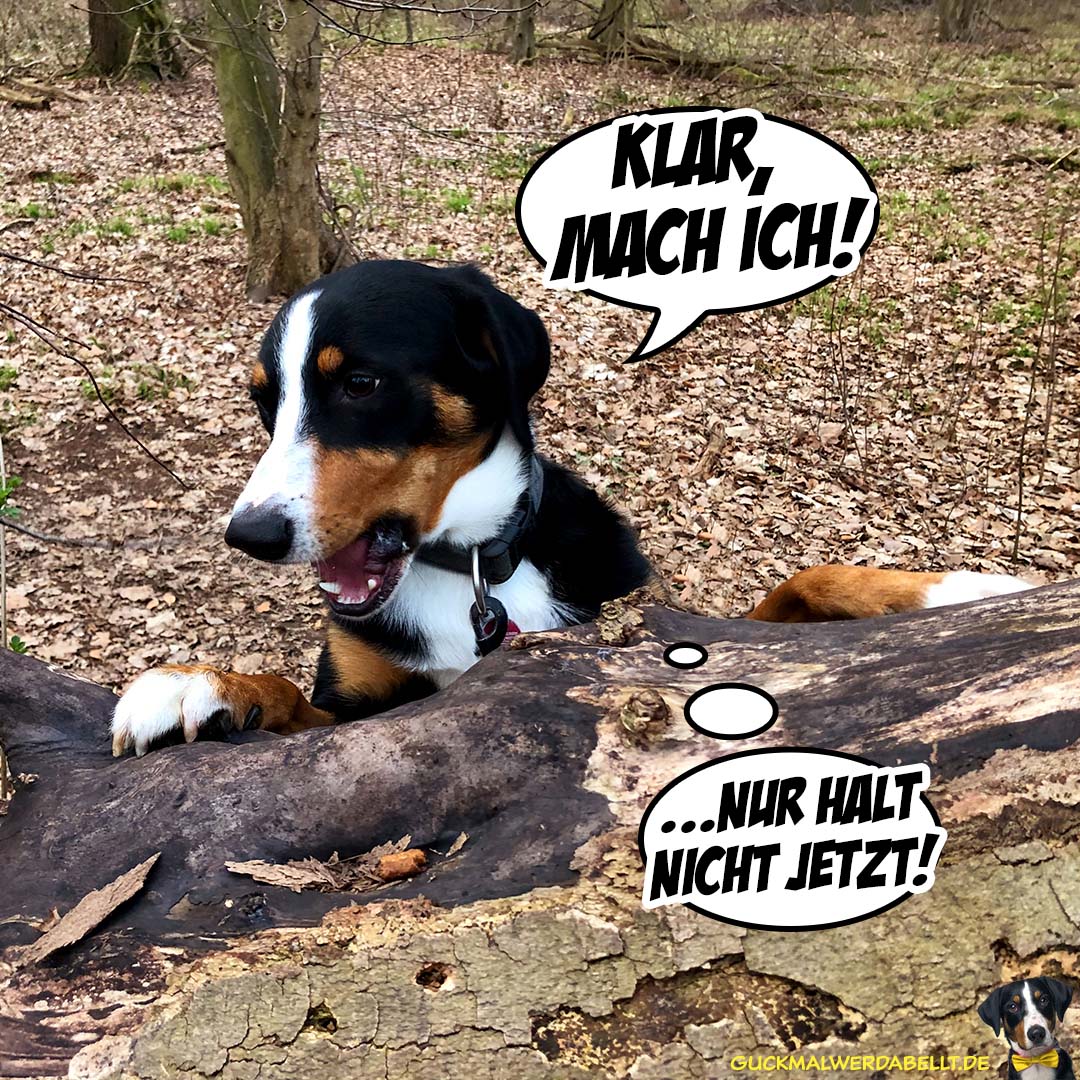 Klar, mach ich - Aber nicht jetzt!
