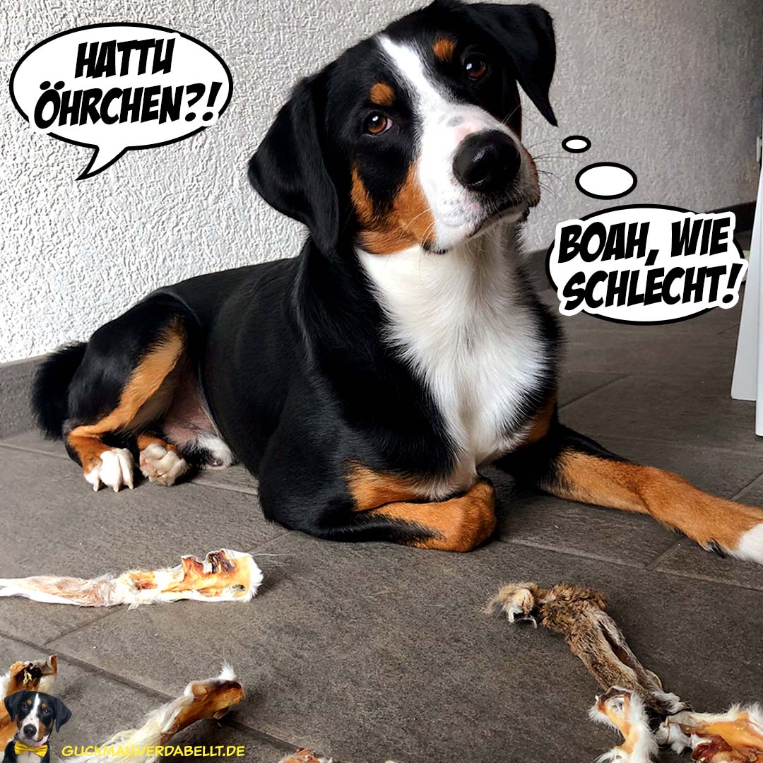 Hattu Öhrchen?! - Boah wie schlecht!