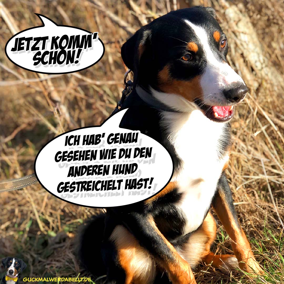 Eifersucht