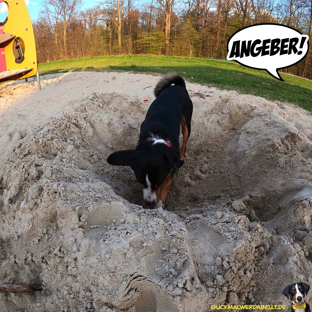wer's kann, kann!