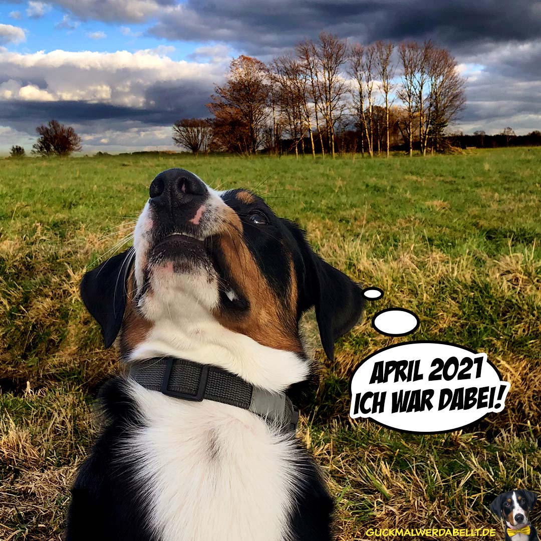 Der April macht was er will