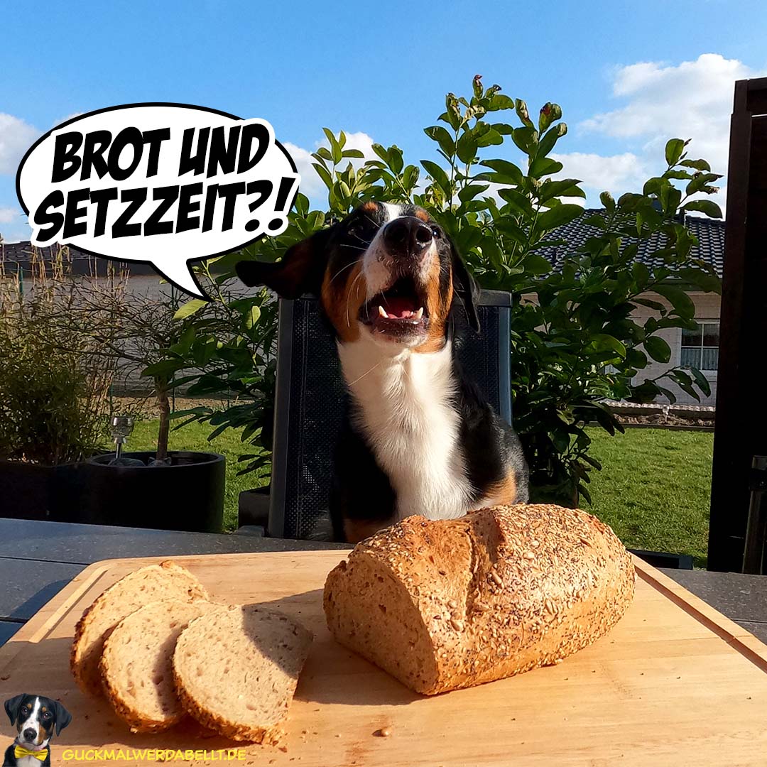 Brot und Setzzeit?