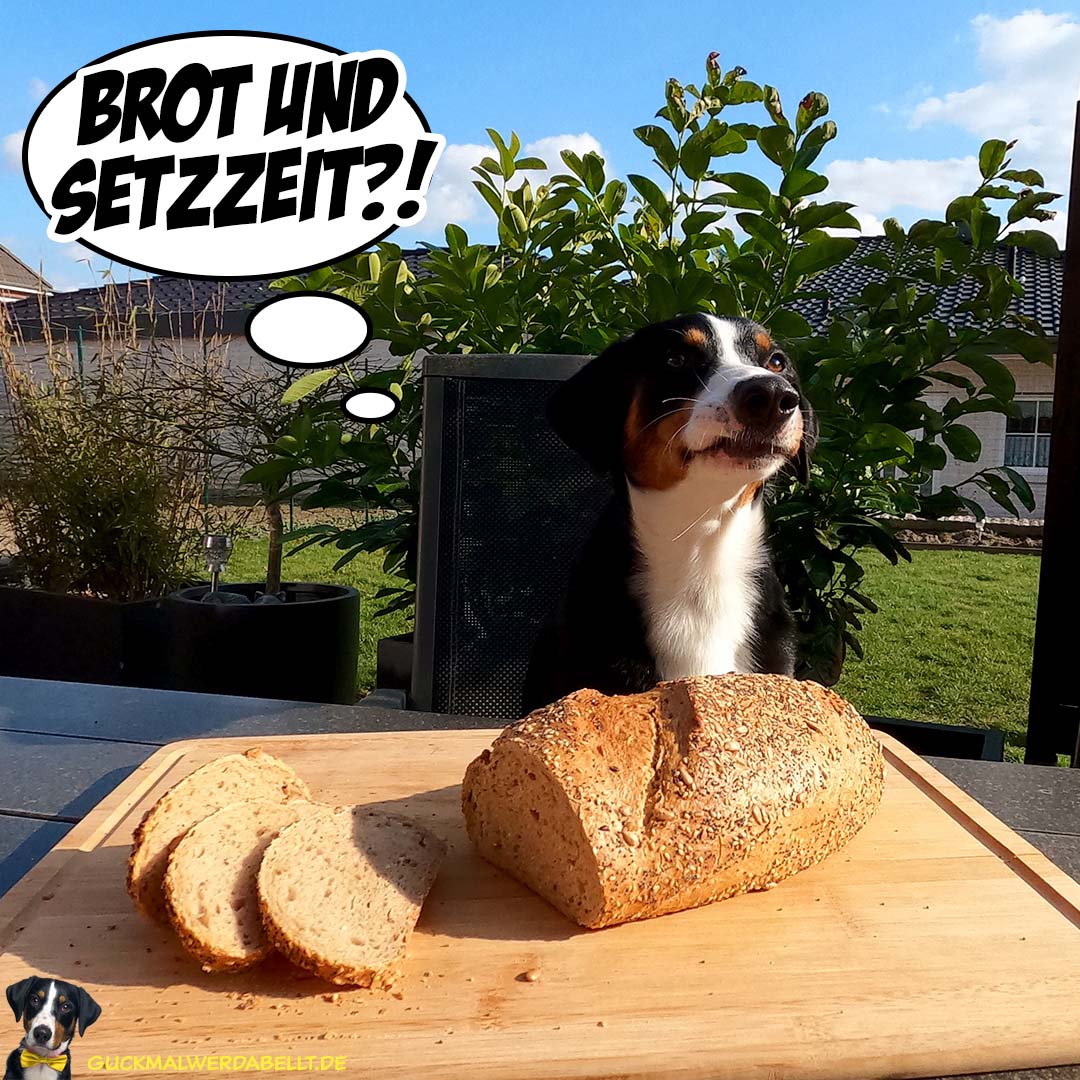 Brot und Setzzeit!