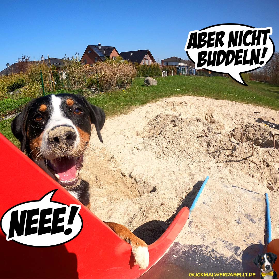 ja nee, is' klar!
