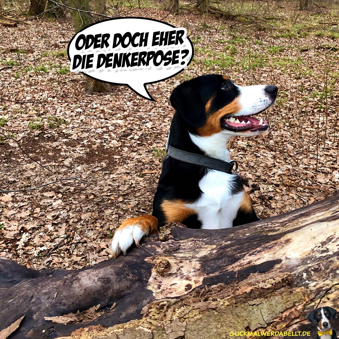 Oder doch eher die Denkerpose?