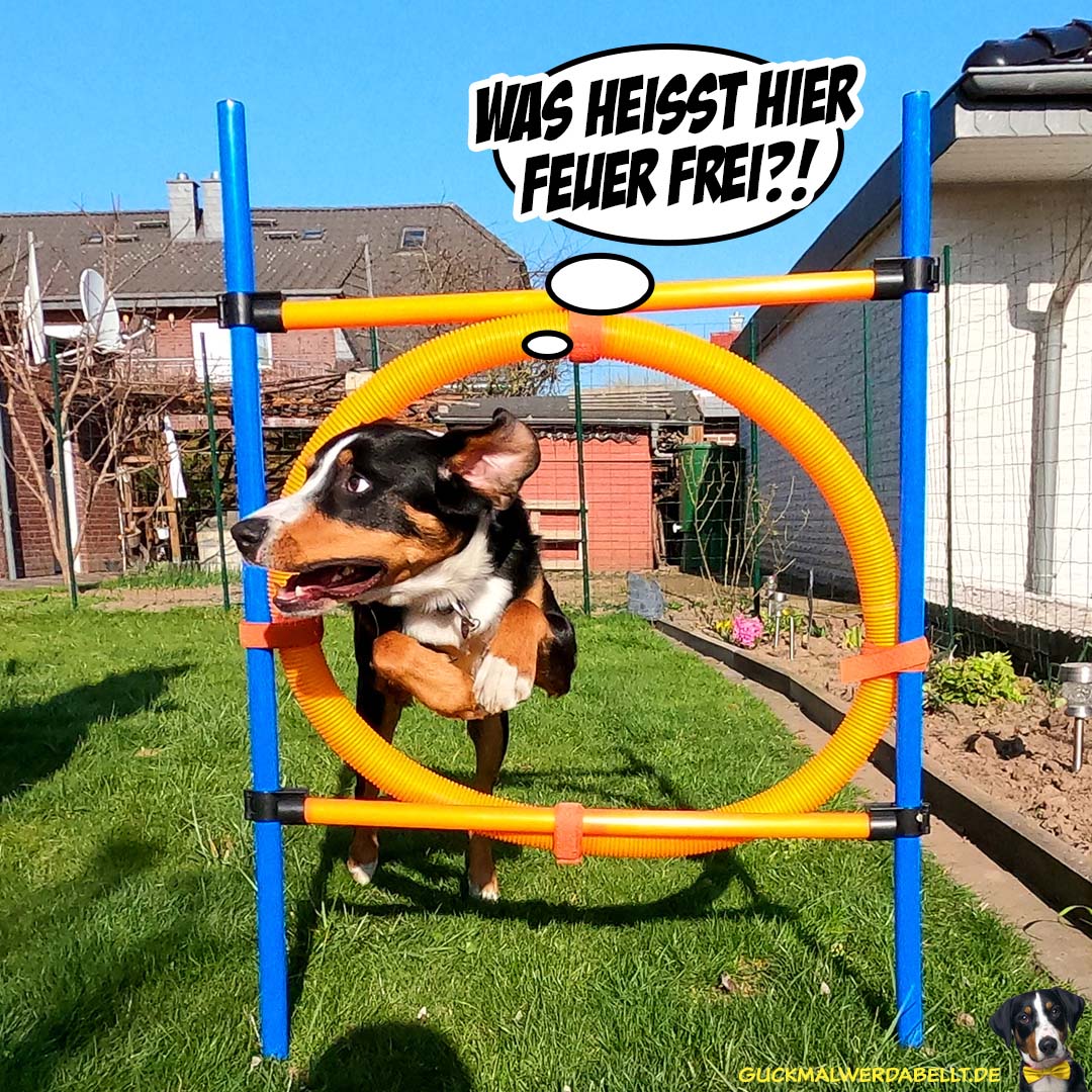 Feuer frei?!