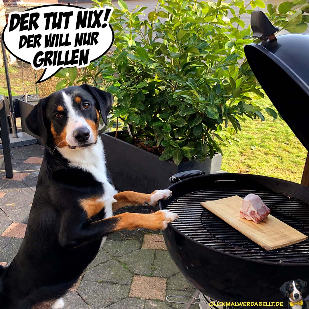 Der tut nix! Der will nur grillen!