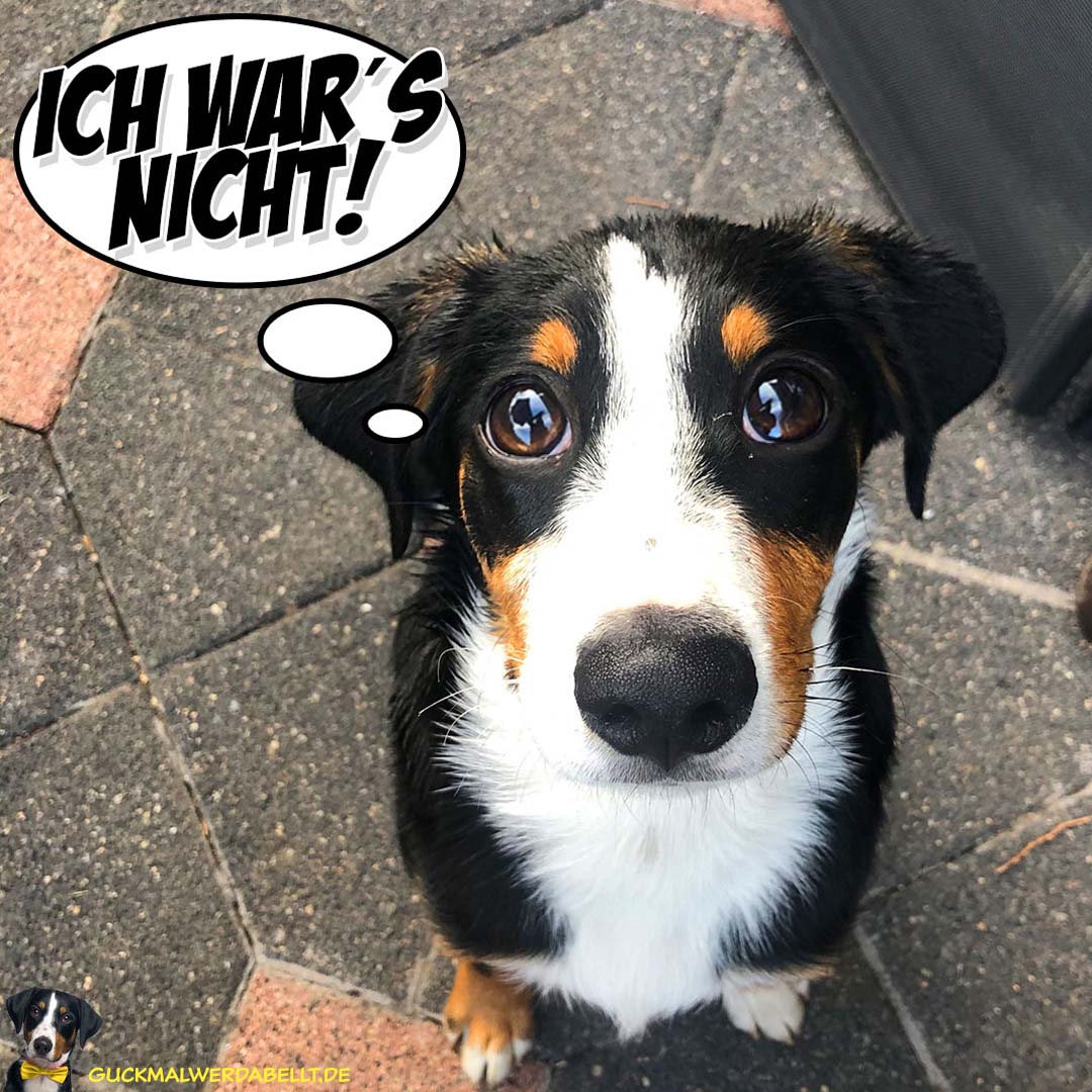 ich war's nicht!