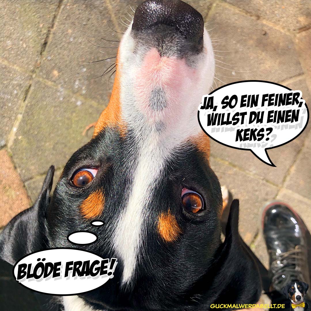 Blöde Frage!