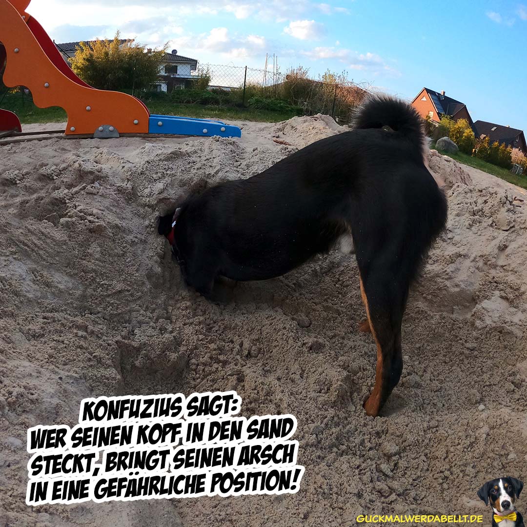 Wenn Konfuzius das sagt!