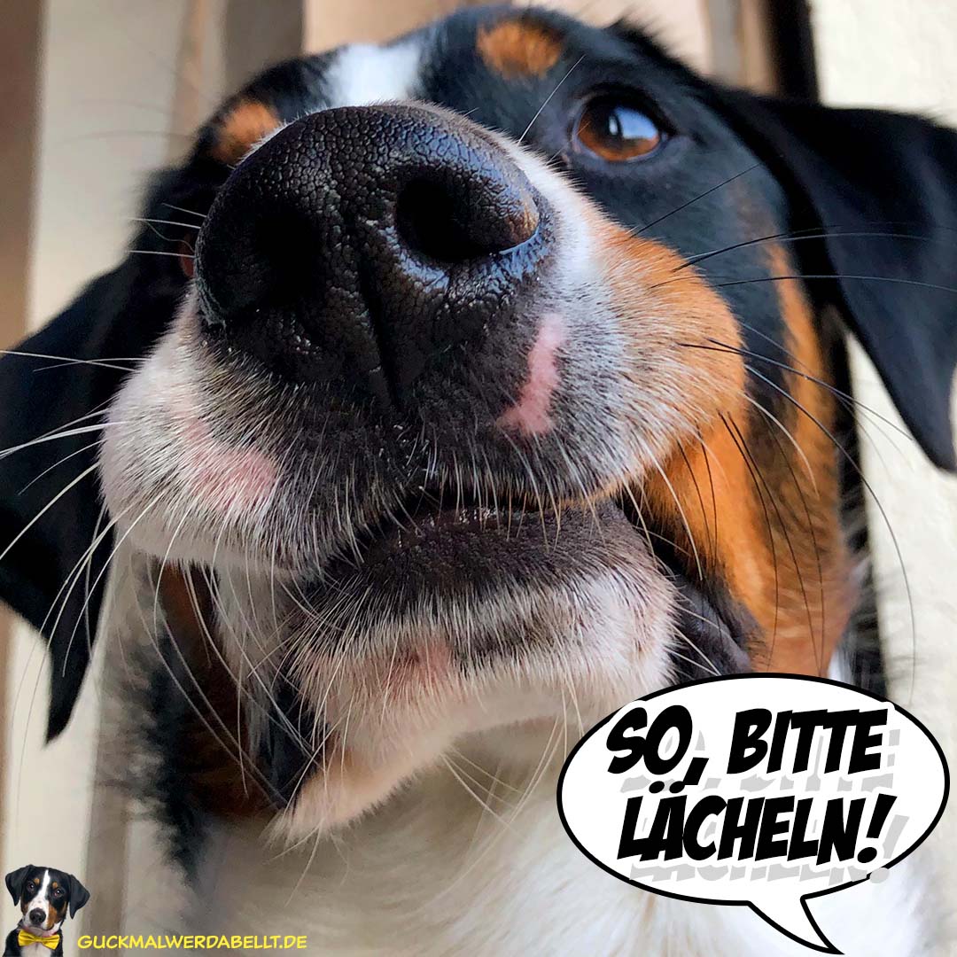 Bitte lächeln!