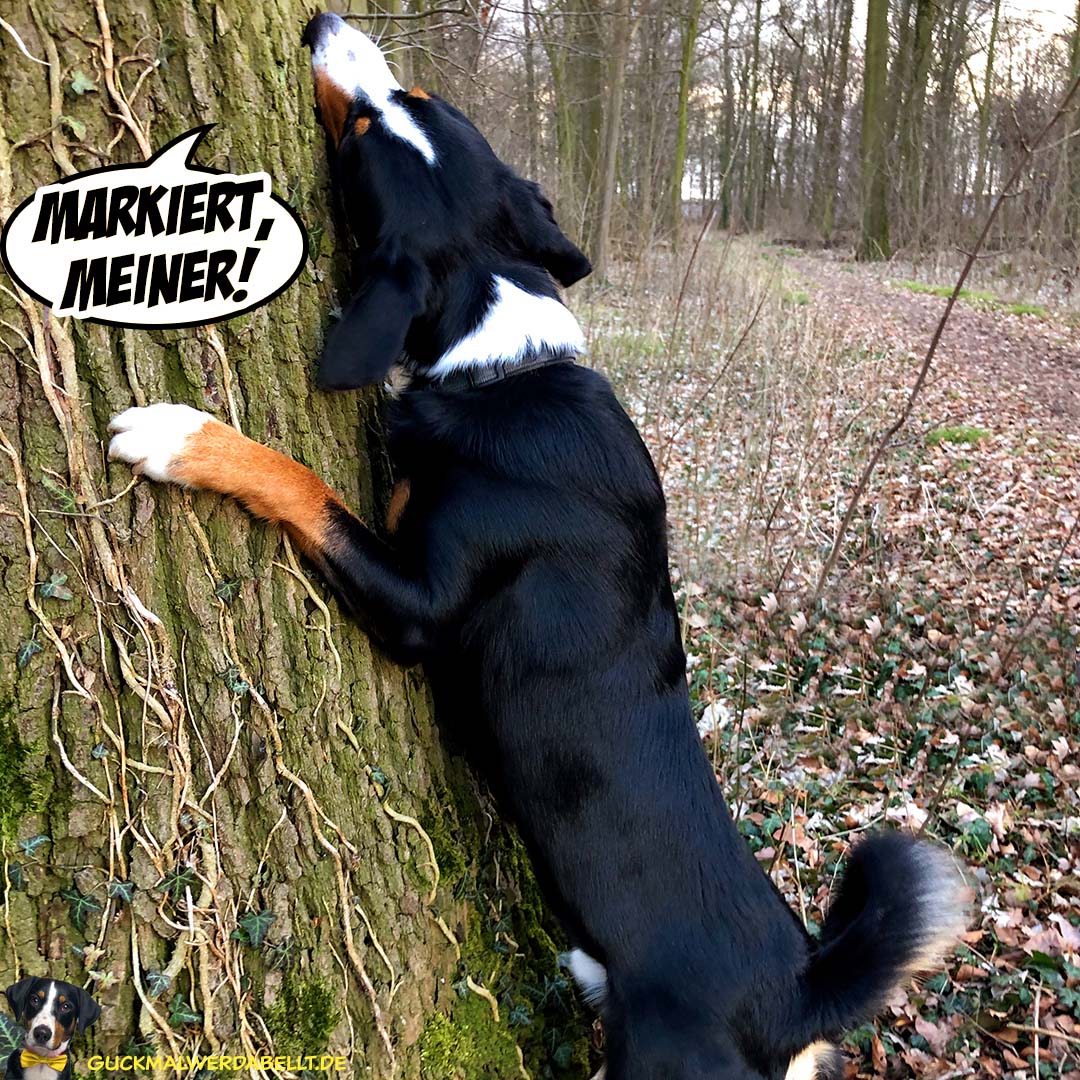 Markiert, meiner!