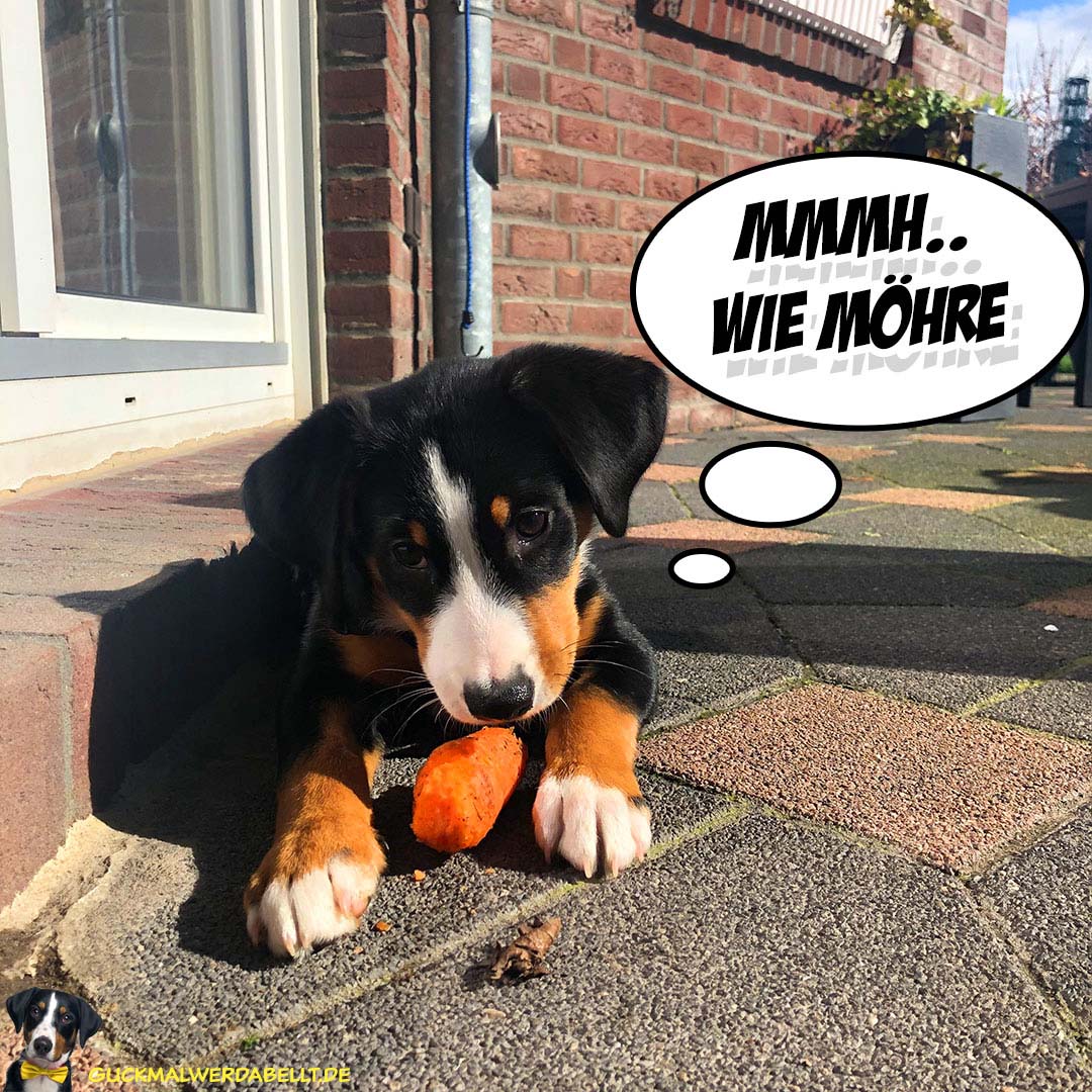 mmmh, wie Möhre