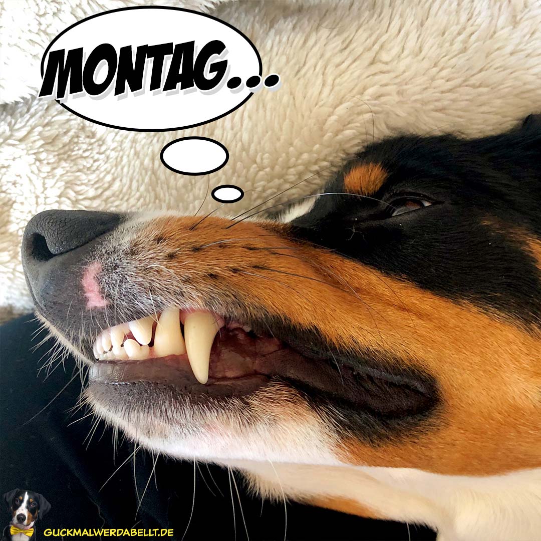 Montag!