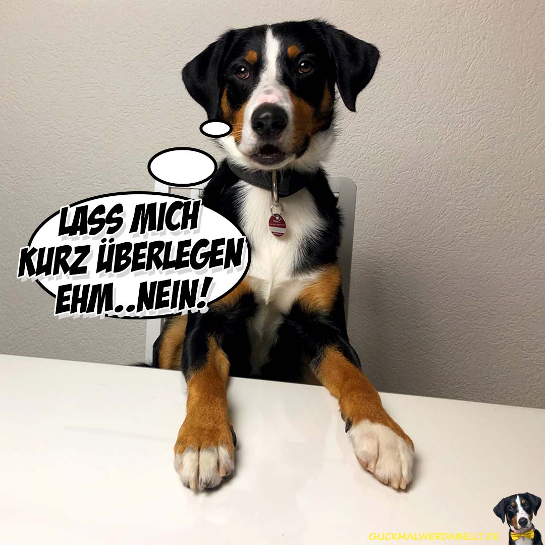 Lass mich kurz überlegen!