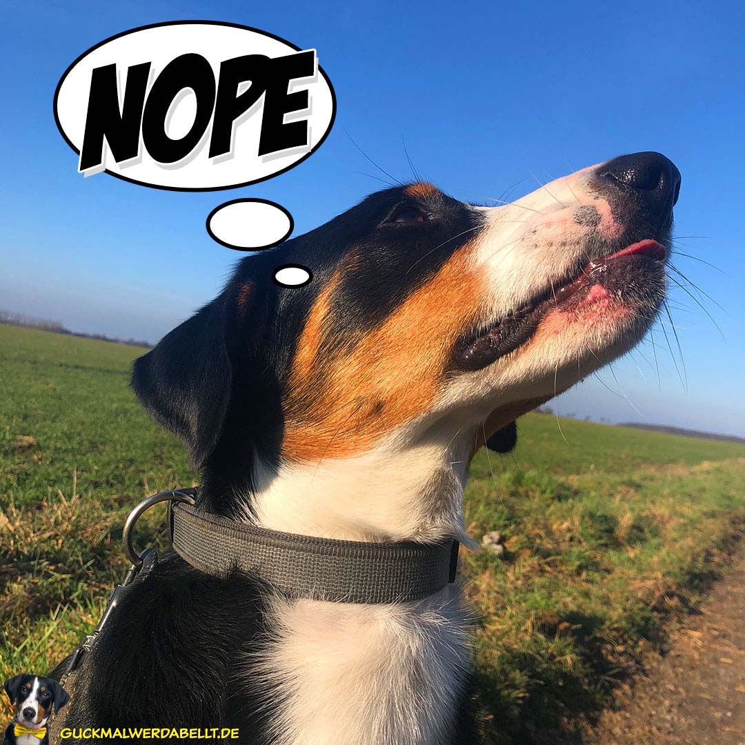 Nope!