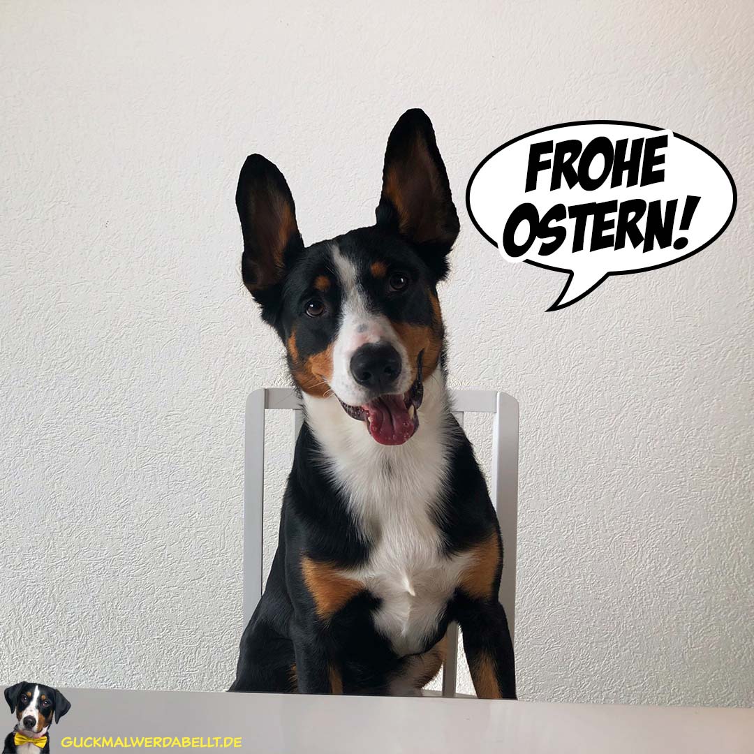 Frohe Ostern!