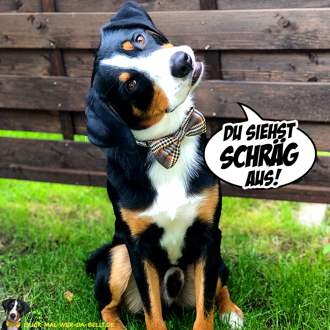 Leinenset von @pepolli_official!
