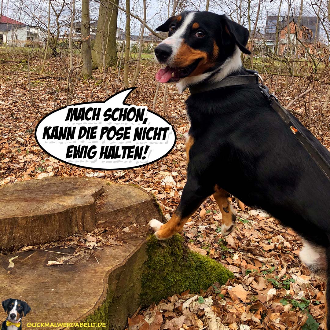 Mach schon!
