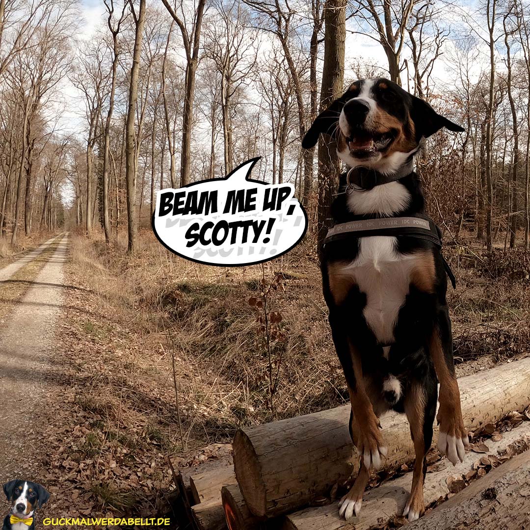 Beam me up, Scotty!