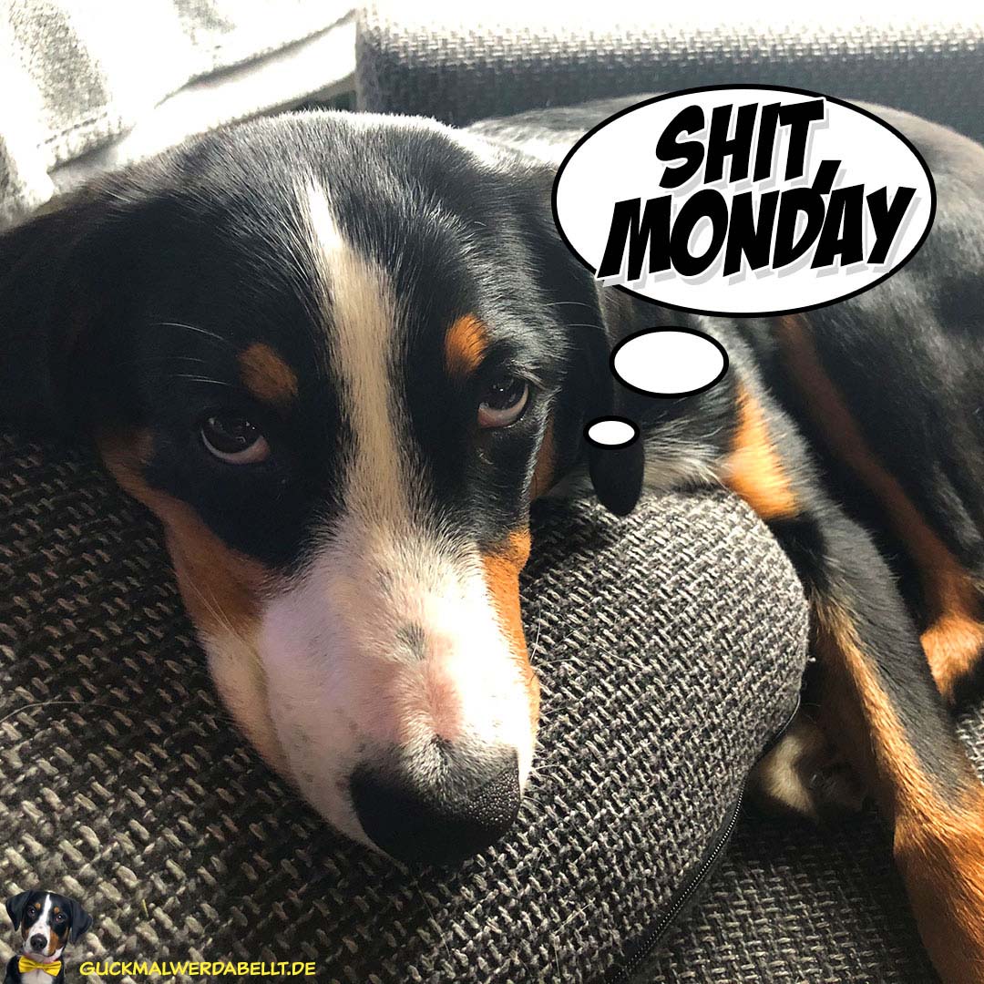 Shit, Montag!