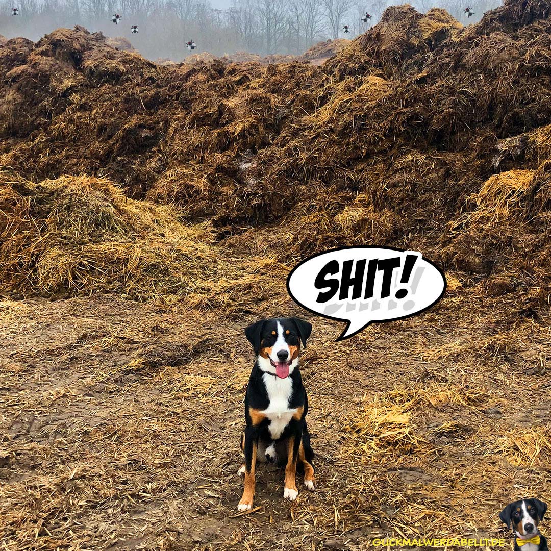 Shit!