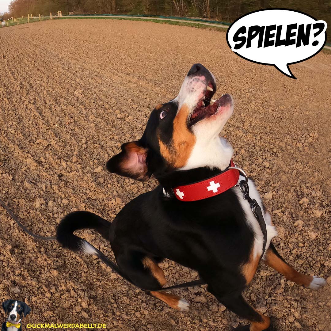 Blöde Frage!