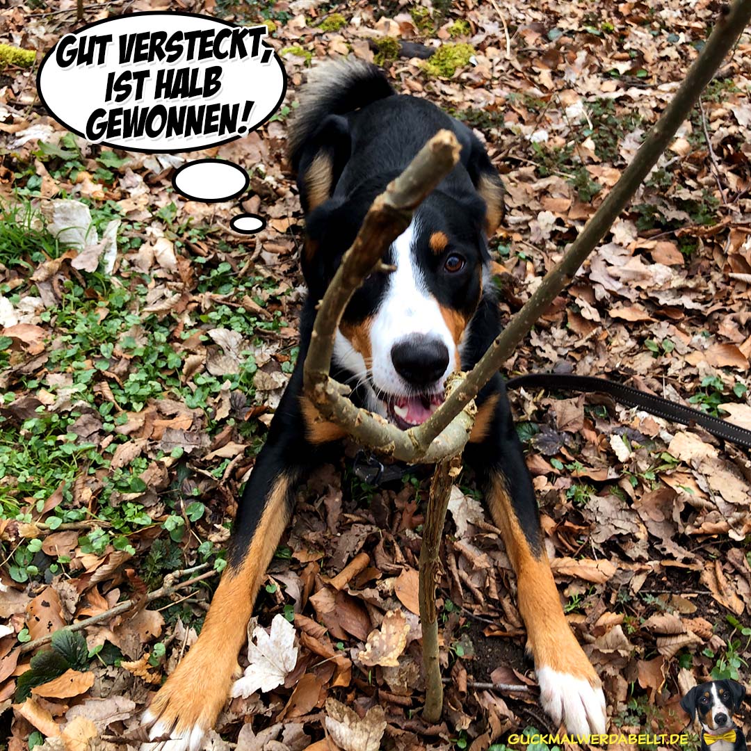 versteckt!
