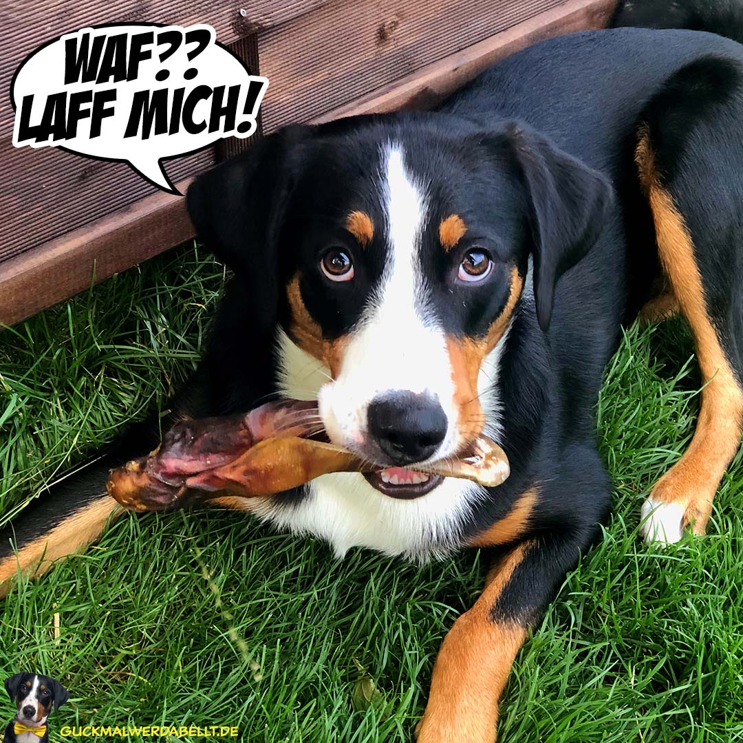 Waf? Laff mich!