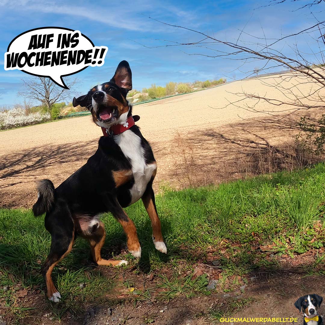ja nee, is' klar!