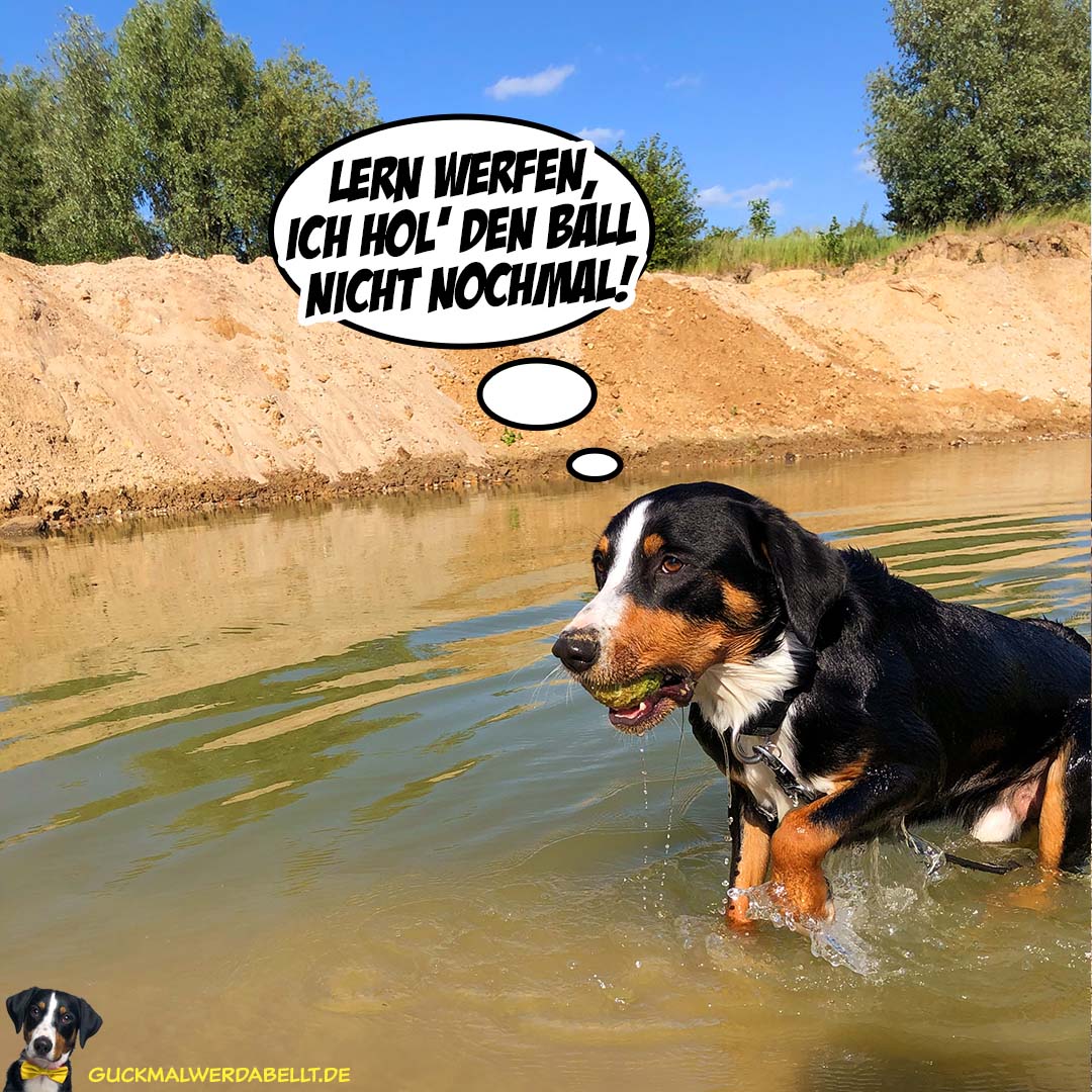 Lern' werfen, ich hol' den Ball nicht nochmal!