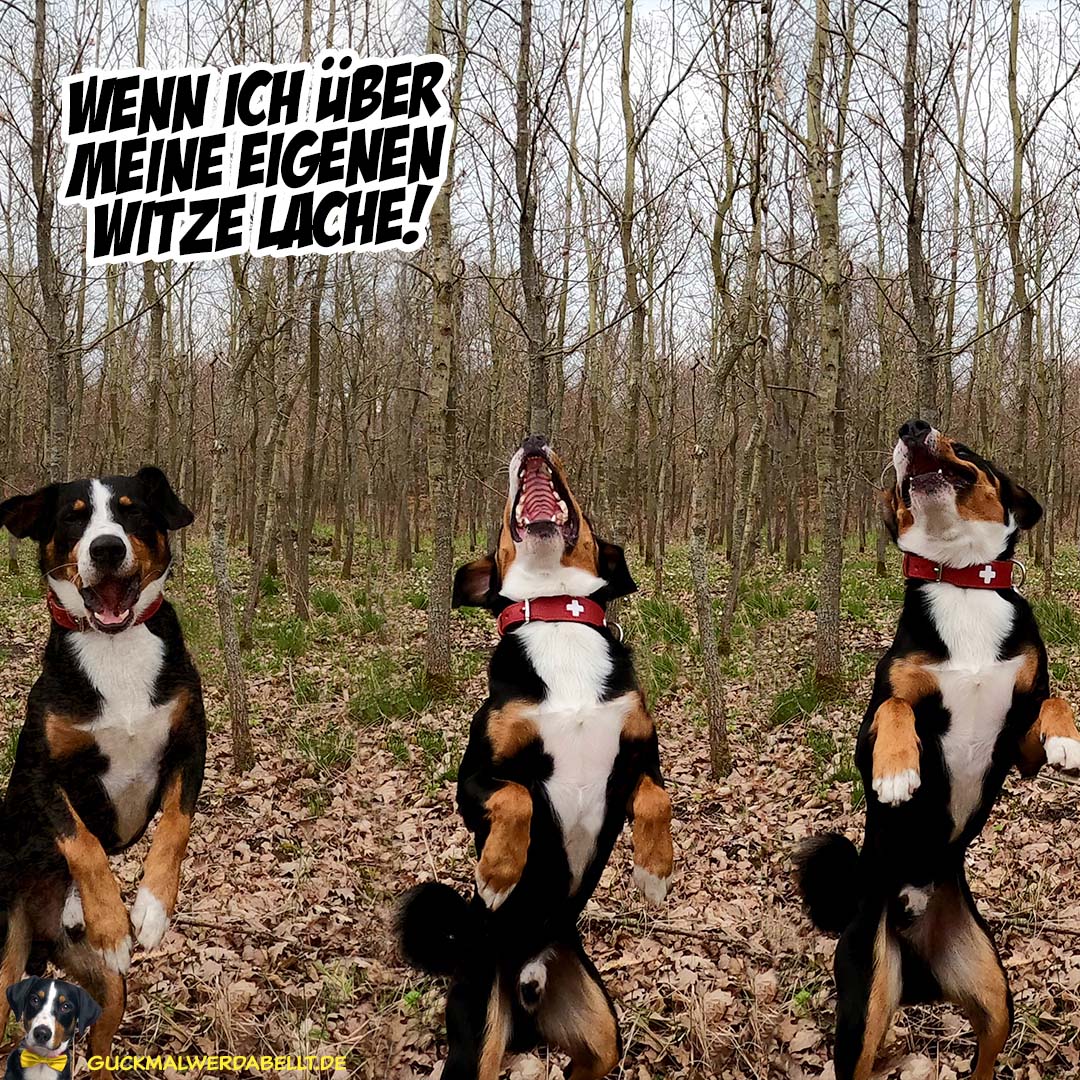 Wenn ich über meine eigenen Witze lache!
