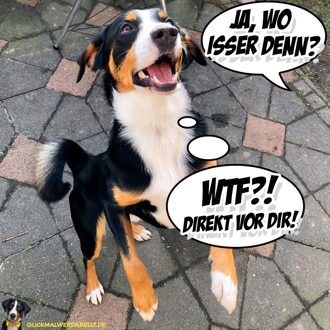 Ja, wo isser denn?